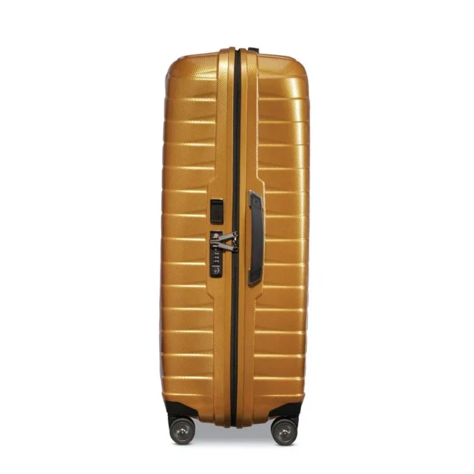 Proxis extra grote spinner
