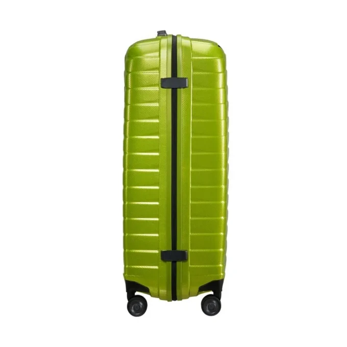 Proxis grote spinner